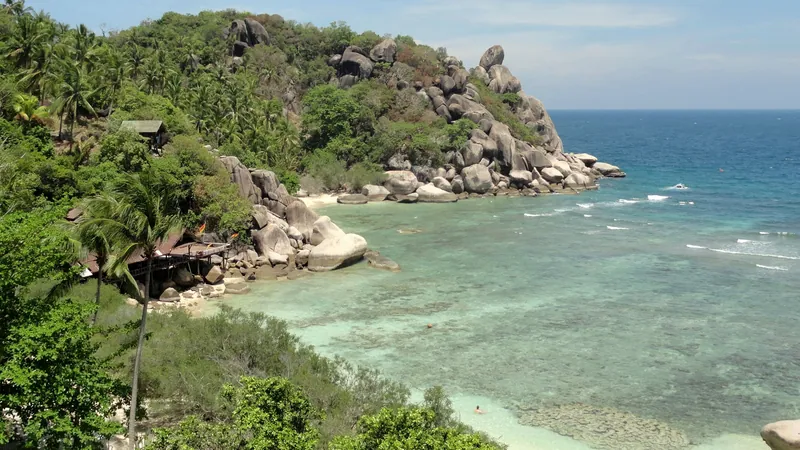Freedom Beach