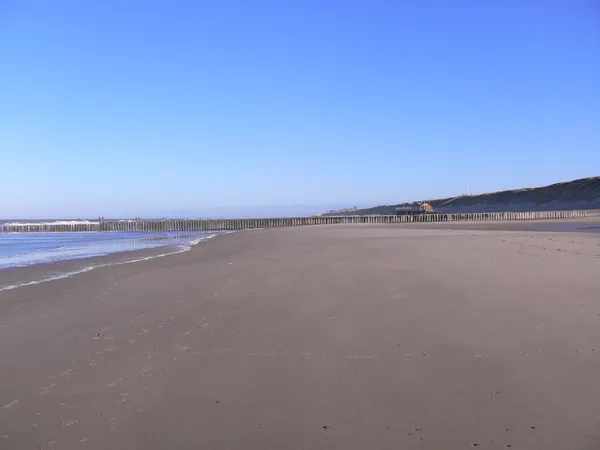 Strand Noordduine
