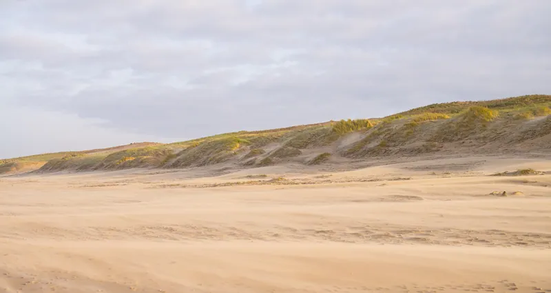 Strand Wassenaarseslag