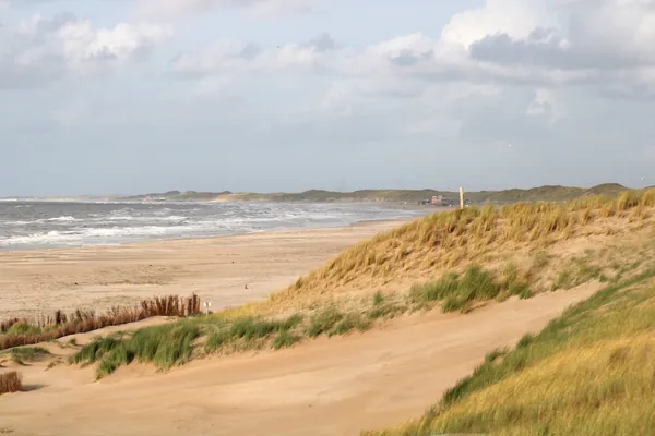 Palendorp Petten