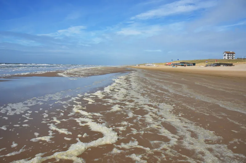Strand Bergen aan Zee