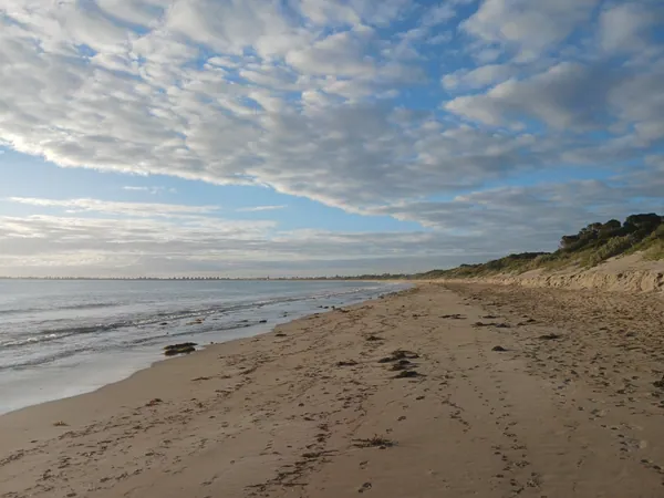 Dog Beach