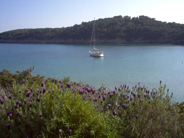 Beach of Fetovaia