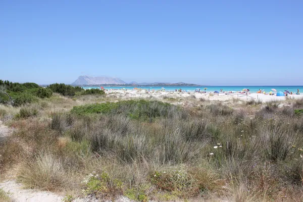 San Teodoro beach
