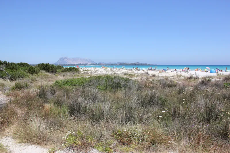 San Teodoro beach