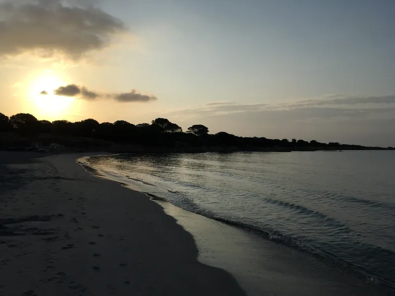 Dog Beach