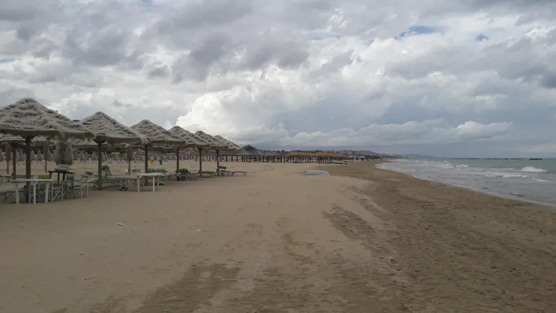 Barracuda Beach Club