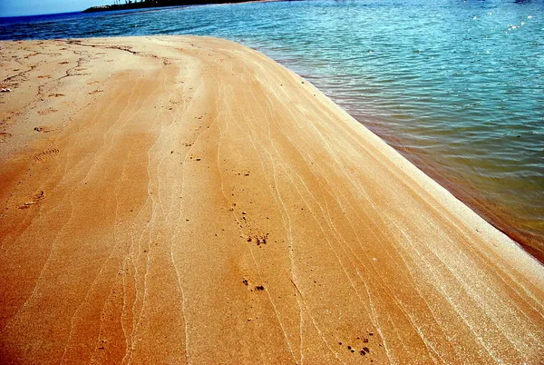 Spiaggia Lido di Fano