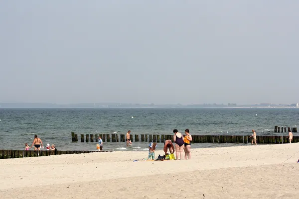 Hundestrand