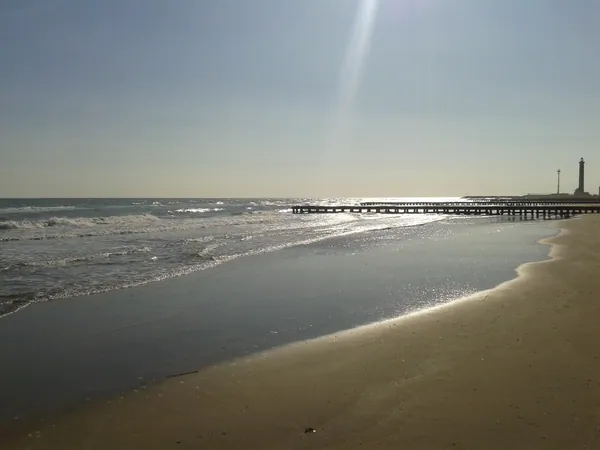Jambo Beach 32