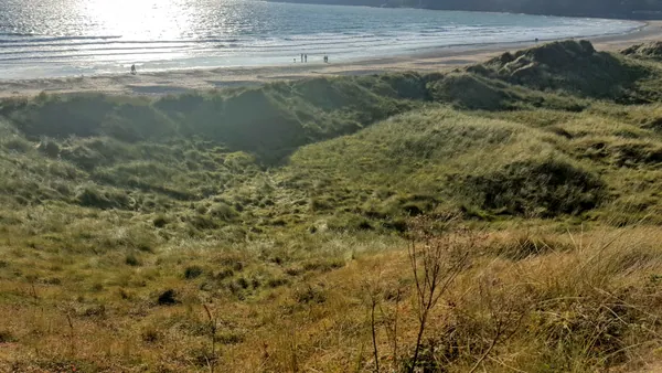 Oxwich Bay Beach