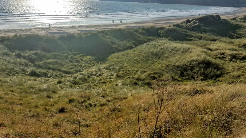Oxwich Bay Beach