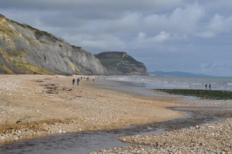 Charmouth Beach