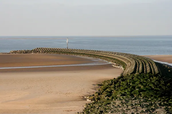 Brighton Beach