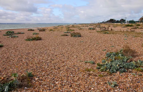 Eastney Beach