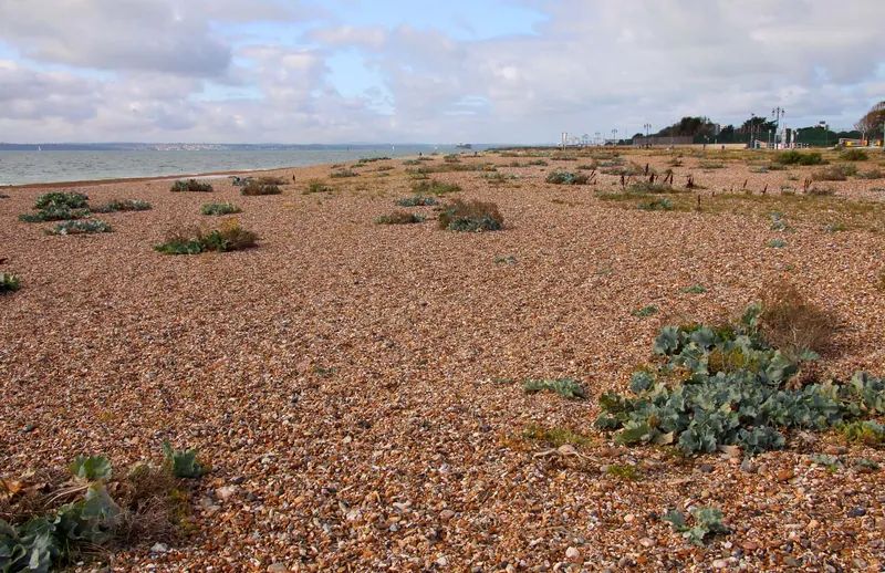 Eastney Beach