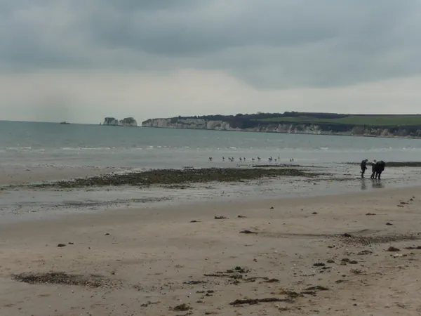 Sandy Beach