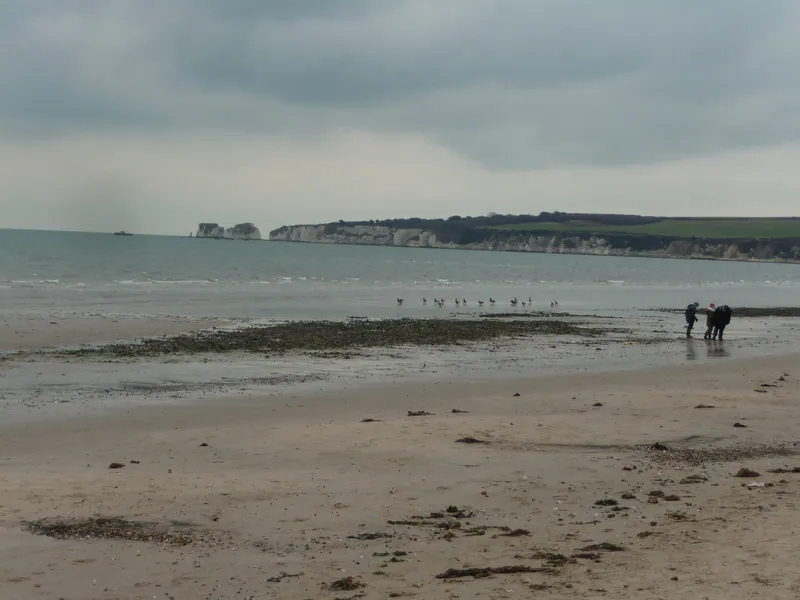 Sandy Beach
