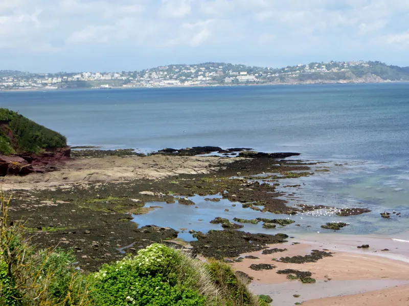 Saltern Cove