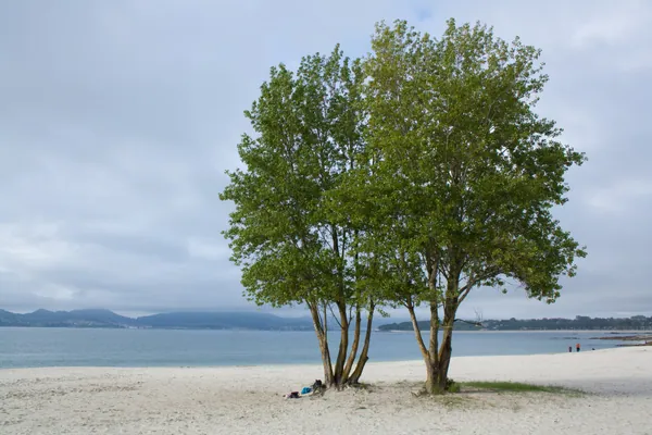 Playa del Vao