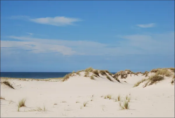 Praia de São Jacinto