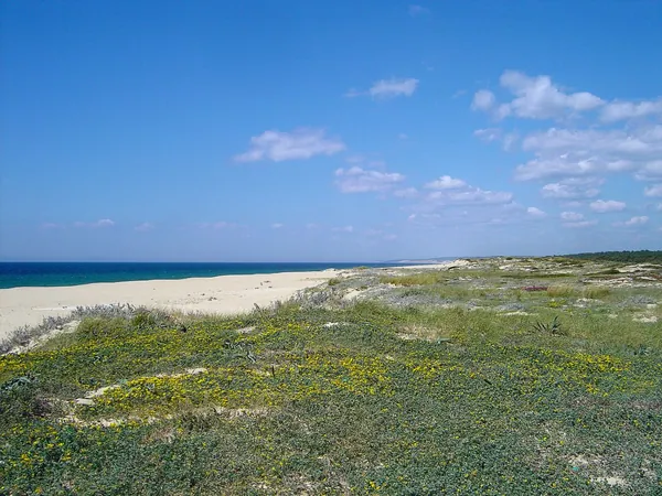 Praia da Sesmaria