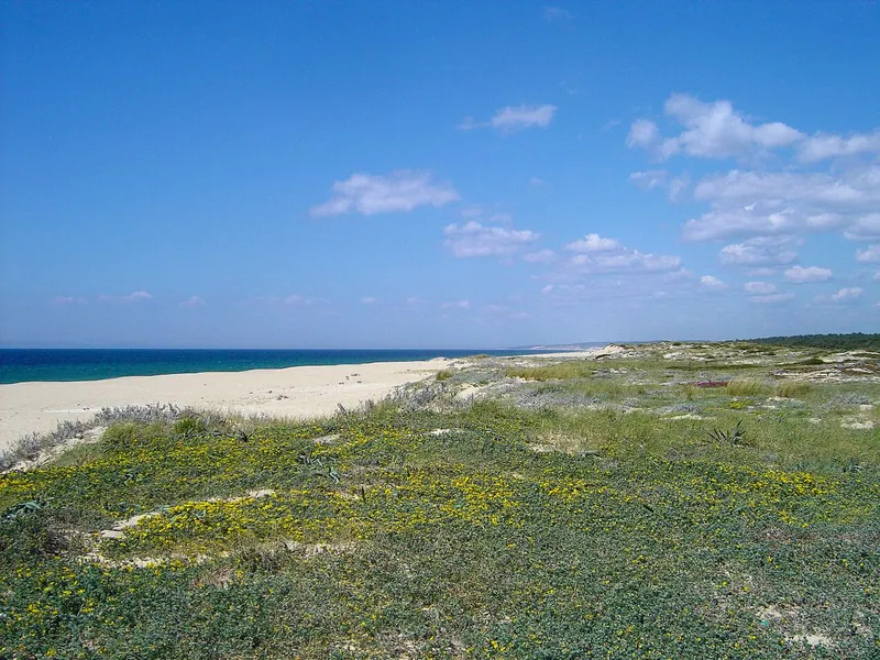 Praia da Sesmaria