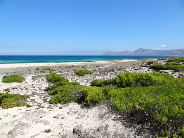 Platja de Son Real