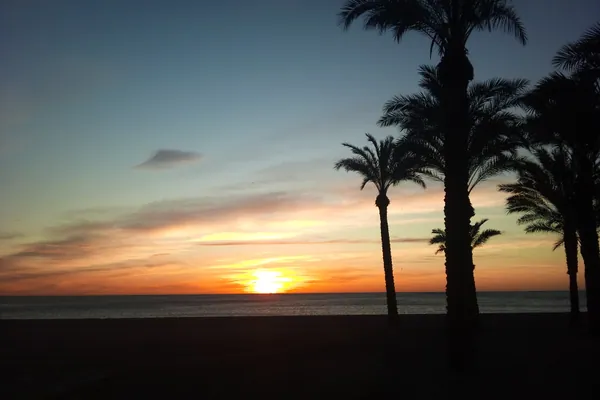 Playa de los Álamos