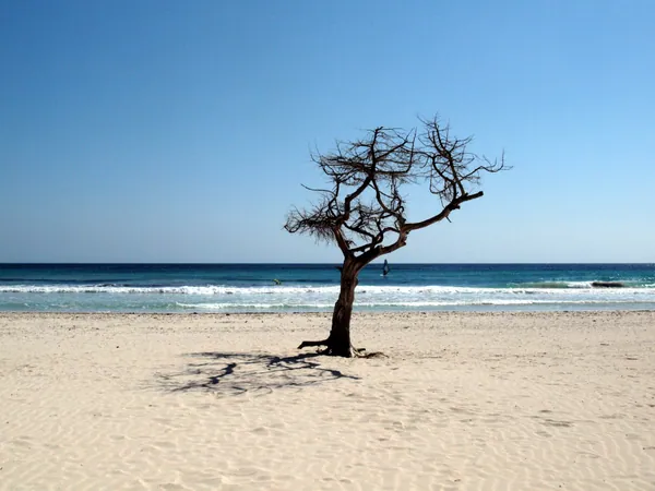 Platja de sa Coma