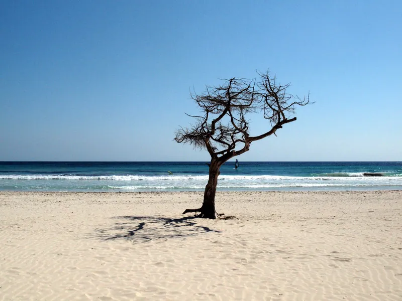 Platja de sa Coma