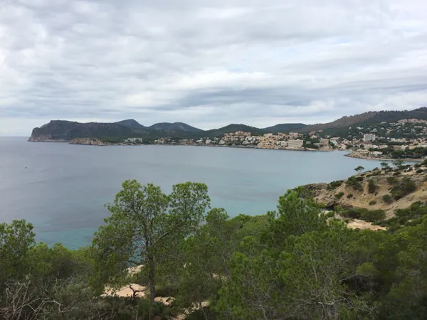 Platja Gran de Torà
