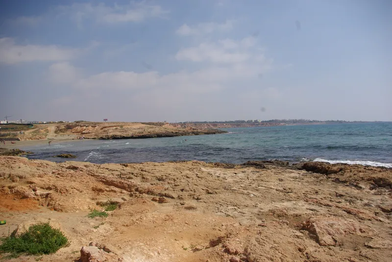 Playa Flamenca Beach